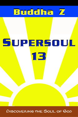 Book cover of SUPERSOUL 13