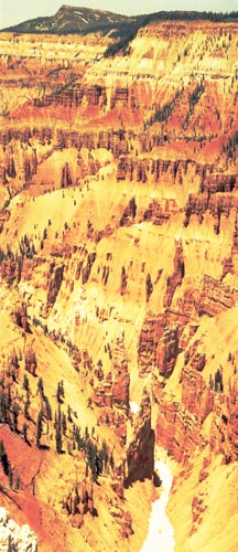 Cedar Breaks by Coyote