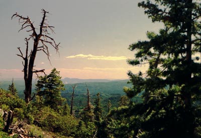 Cedar Breaks by Coyote