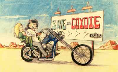 Save The Coyote